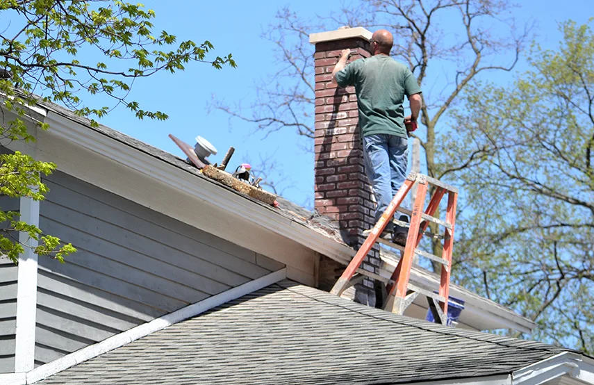 Chimney & Fireplace Inspections Services in Collierville, TN